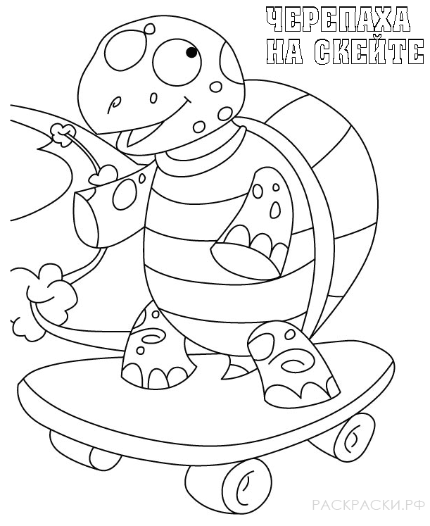 Раскраска для мальчиков Черепаха на скейте