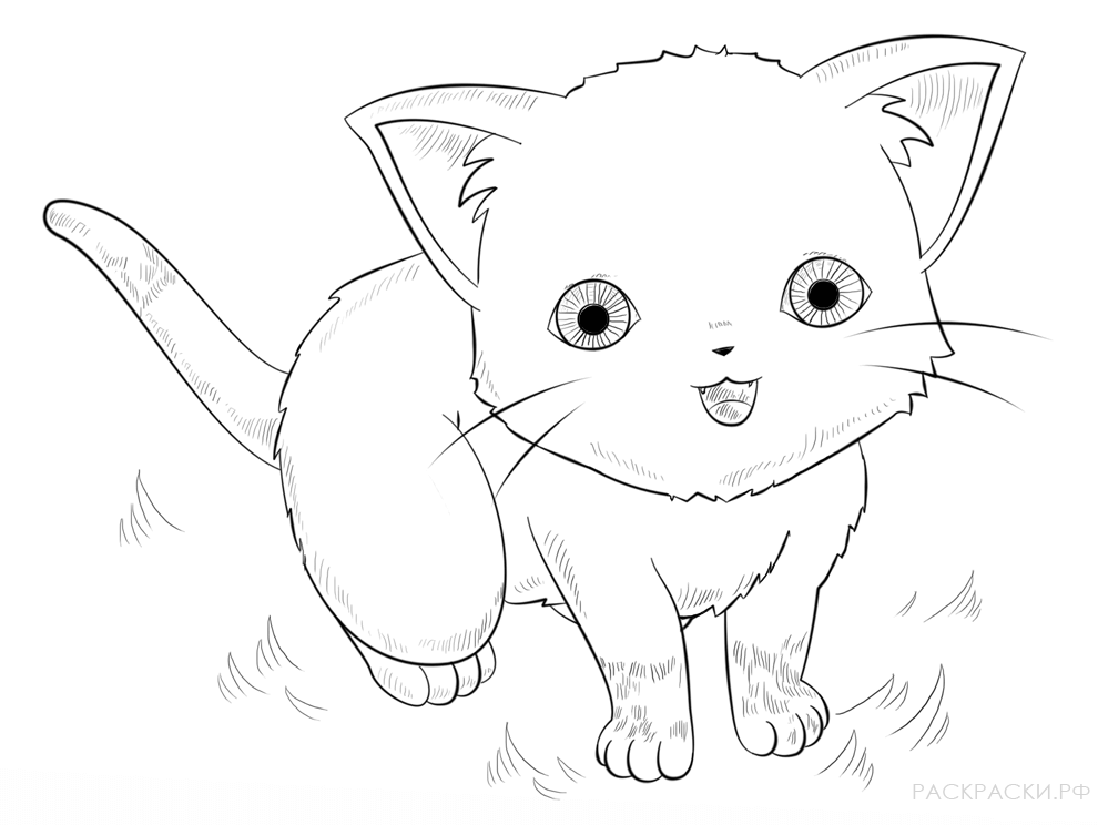 Раскраска Котёнок из аниме