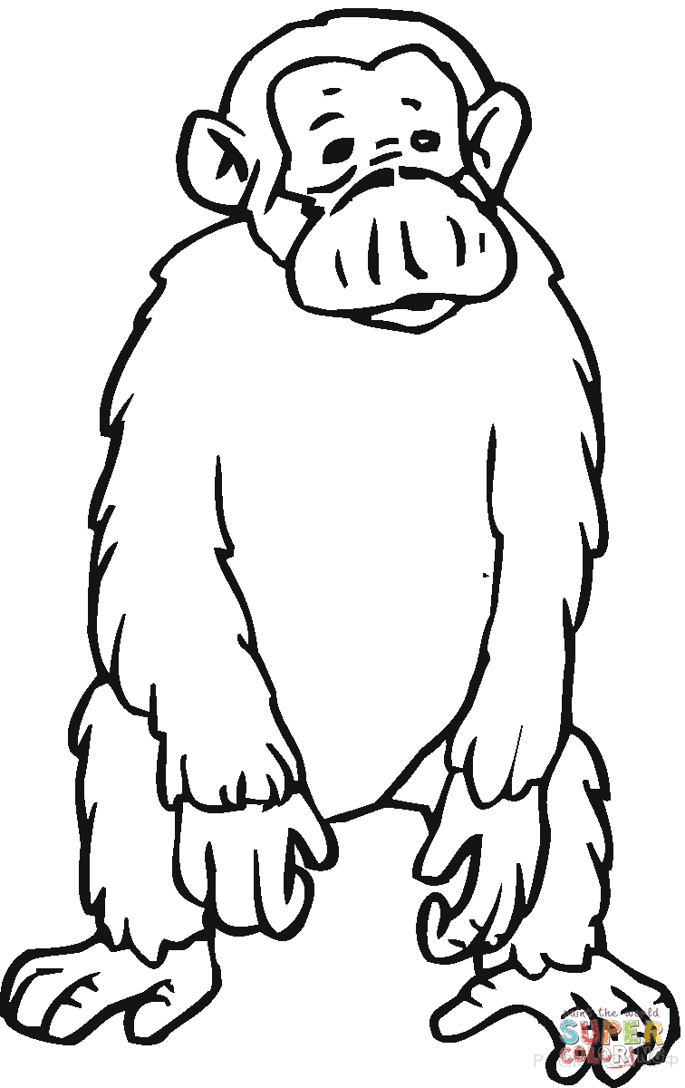 Раскраска Животные Грустный шимпанзе