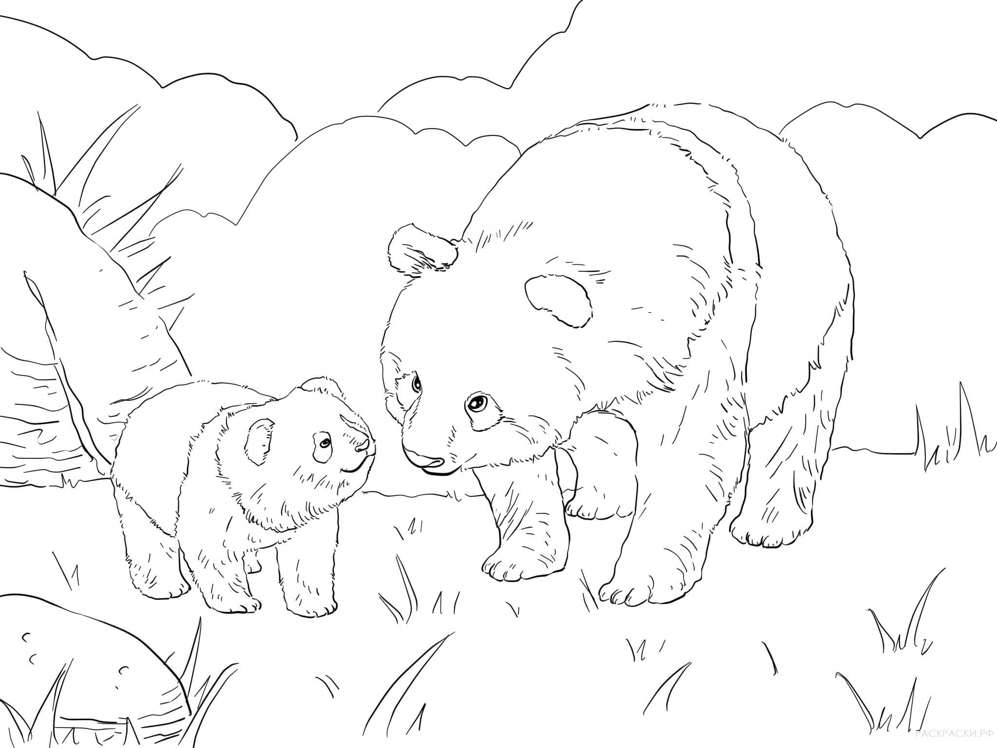 Раскраска Животные Мама панды