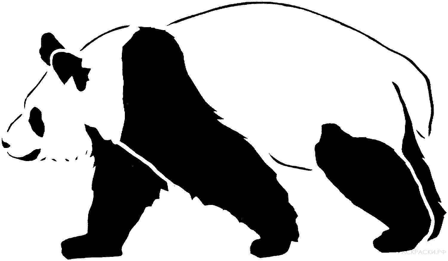 Раскраска Животные Панда 5