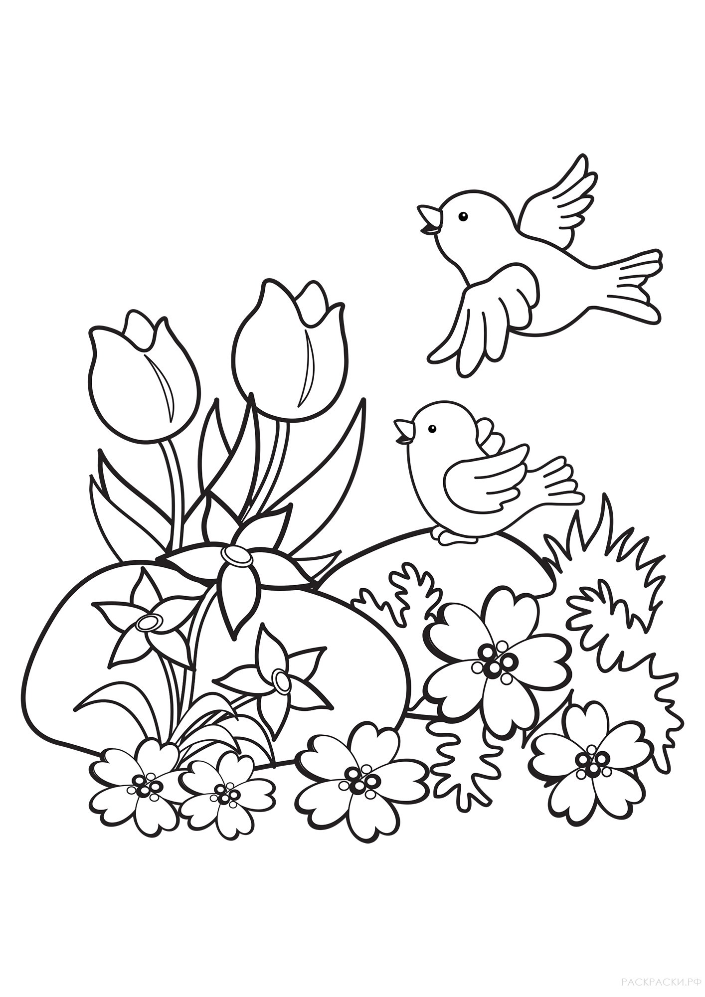 Раскраска Птицы и цветы