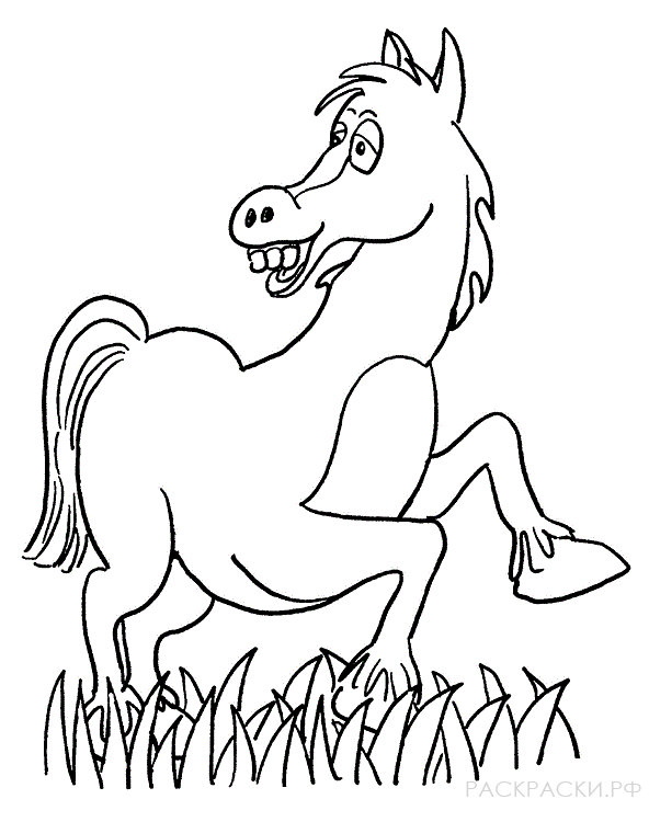 Раскраска веселая лошадь