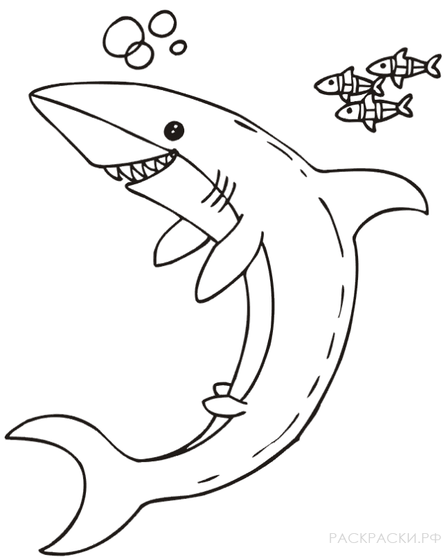 Раскраска для девочек акула с пузырями и рыбками