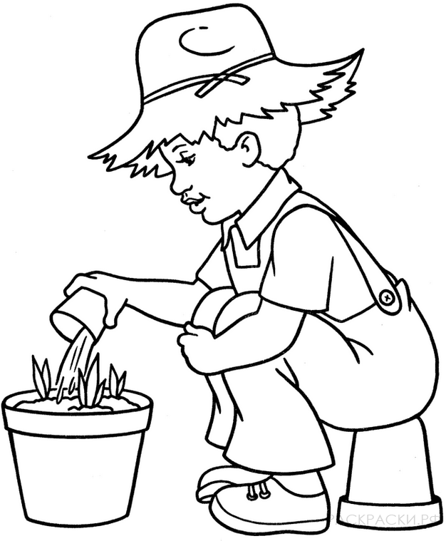 Раскраска мальчик поливает цветы