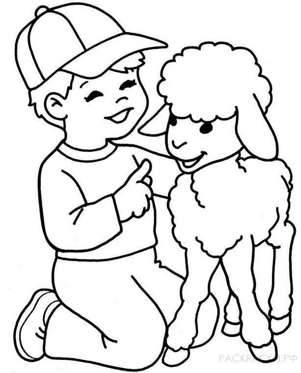 Раскраска мальчик и овечка