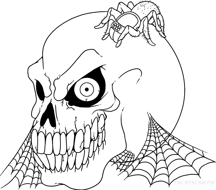 Раскраска для мальчиков Череп в паутине и паук