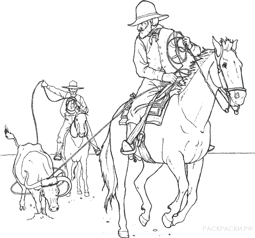 Раскраска для мальчиков Ковбои на лошади и корова