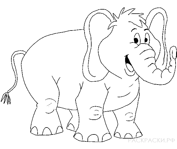 Раскраска Животные Слон