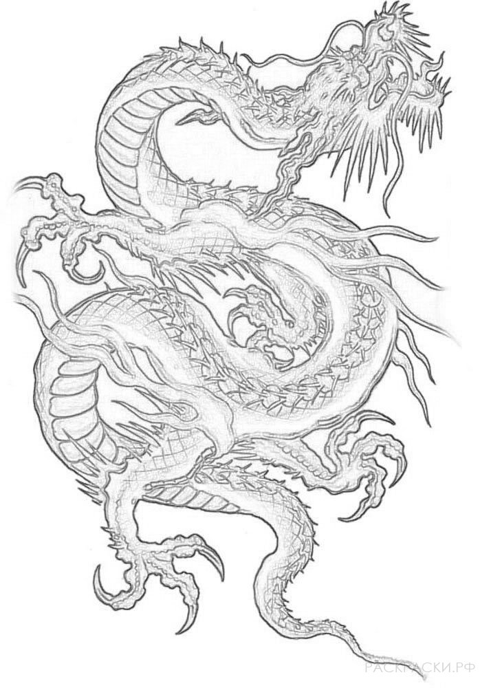 Раскраска Китайский Дракон 3