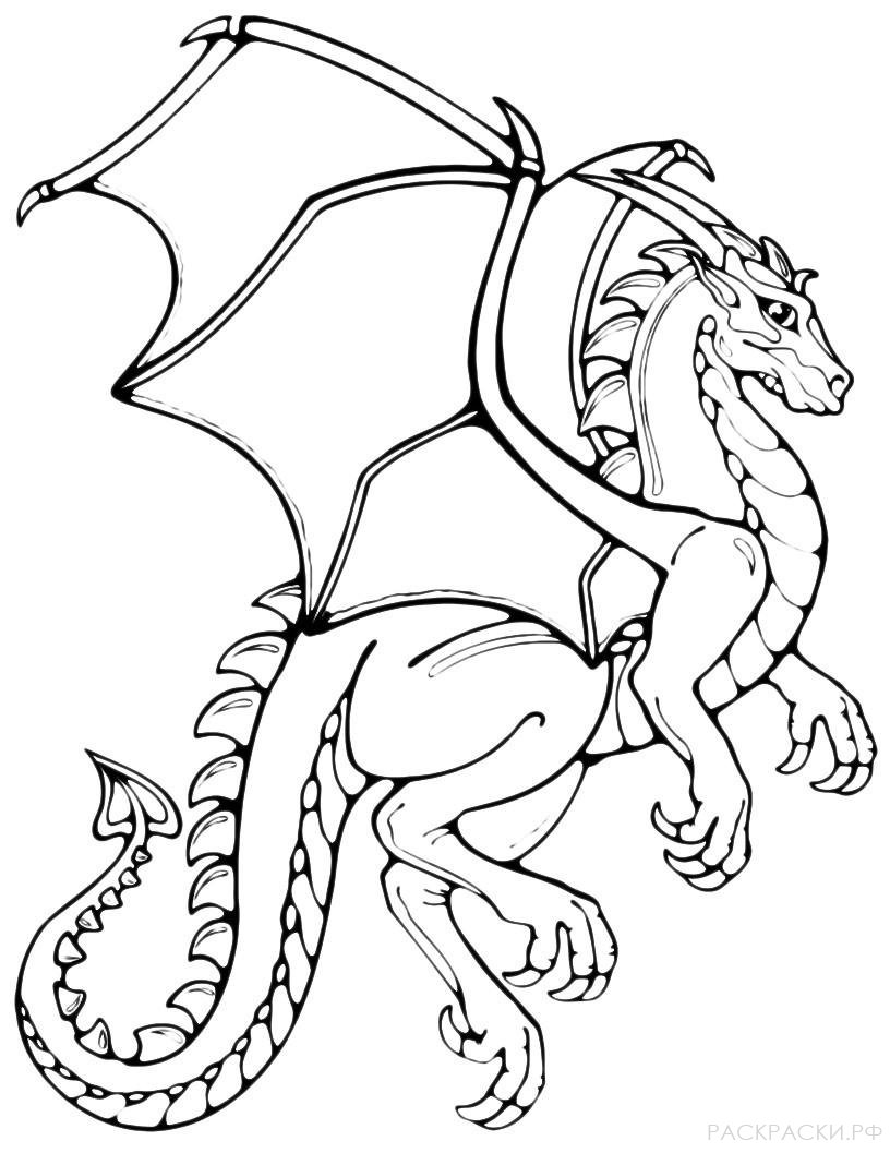 Раскраска Королевский дракон