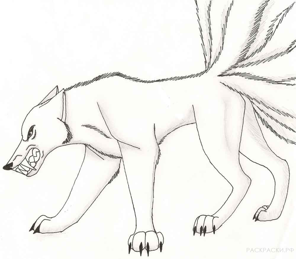 Раскраска Аниме Волк с большим количеством хвостов