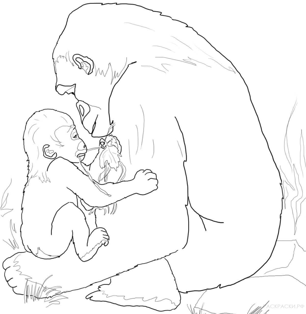 Раскраска Животные Детеныш гориллы играет с мамой