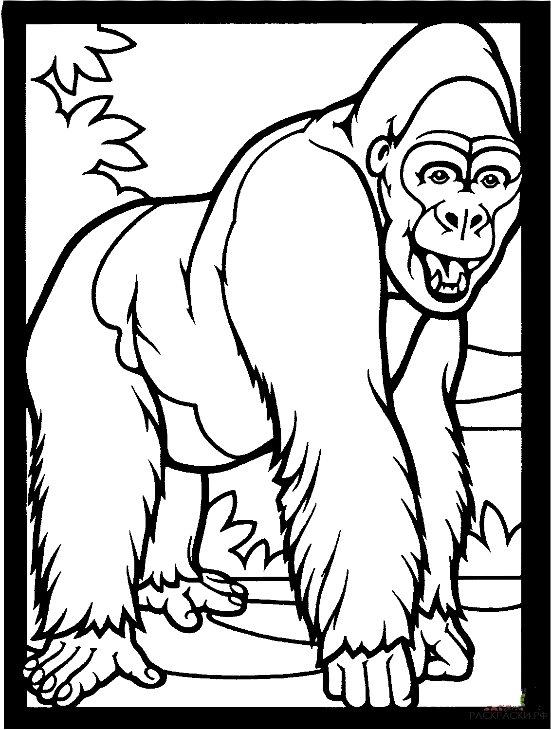 Раскраска Животные Улыбающаяся горилла