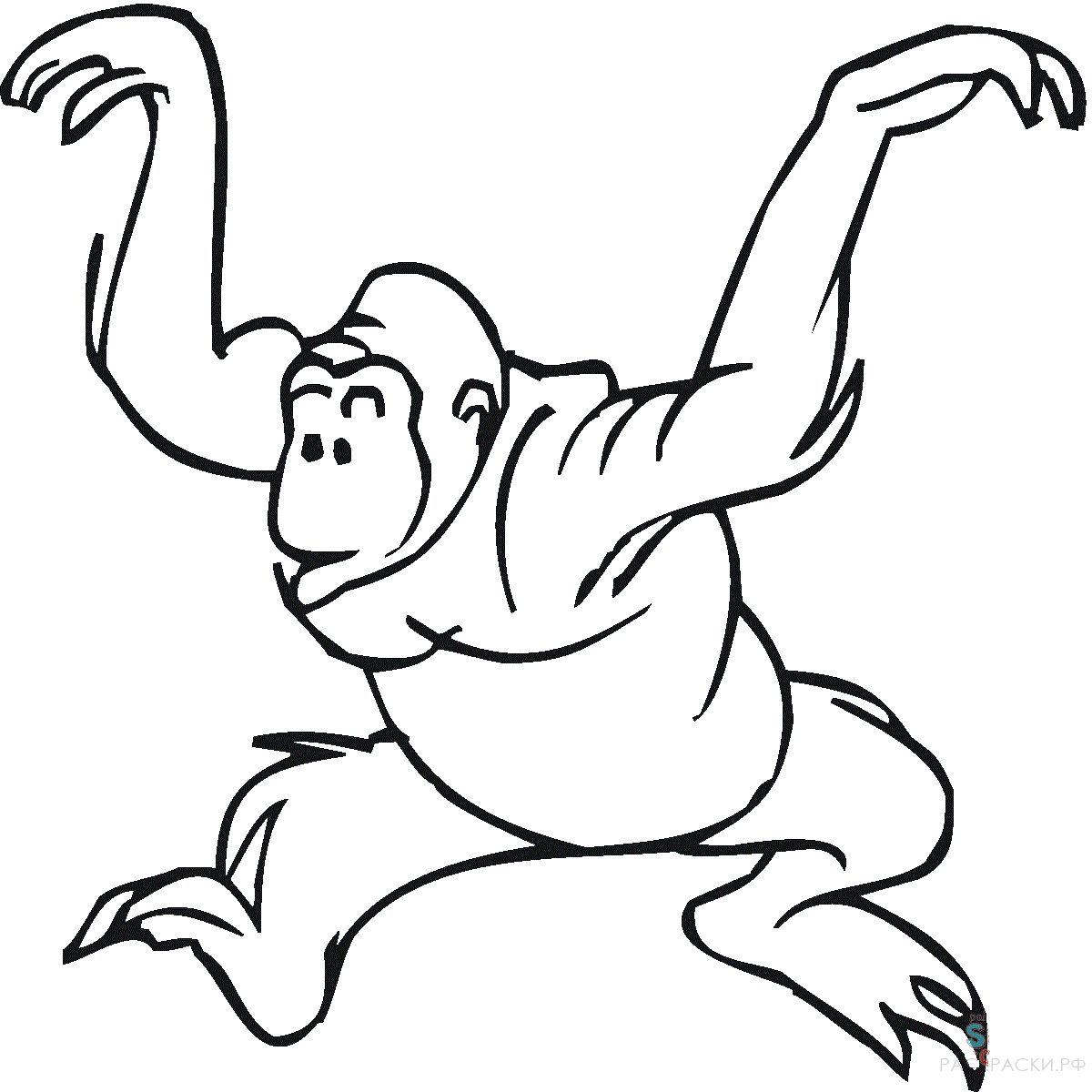 Раскраска Животные Танцующая горилла