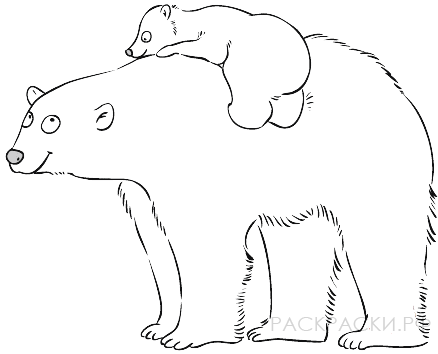 Раскраска Животные Мама-медведица и белый медвежонок