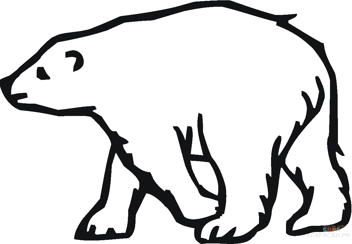 Раскраска Животные Белый медведь 4