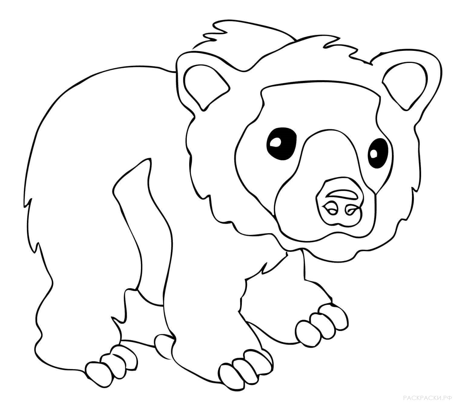 Раскраска Животные Бурый медведь 10
