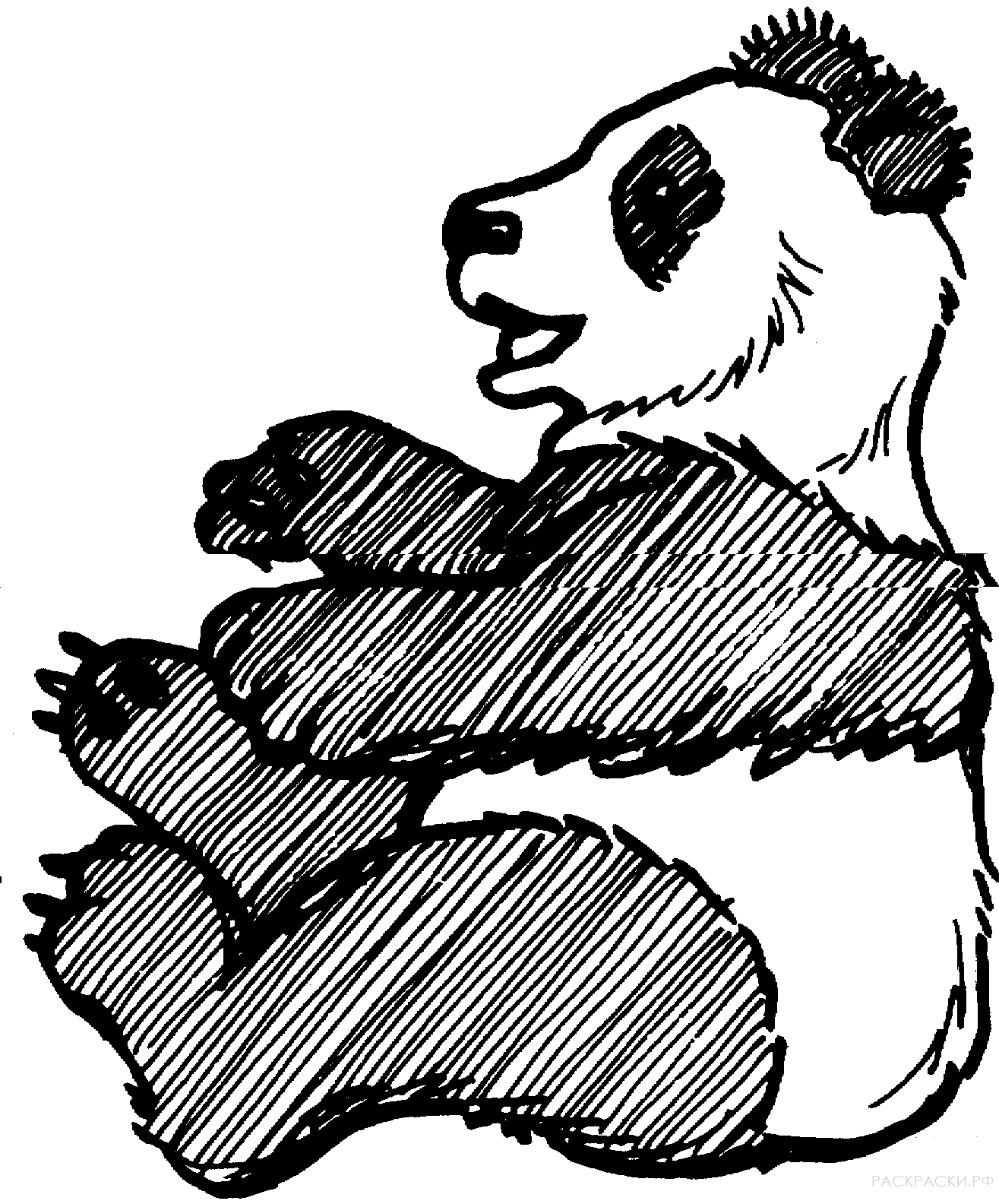 Раскраска Животные Сидящая большая панда