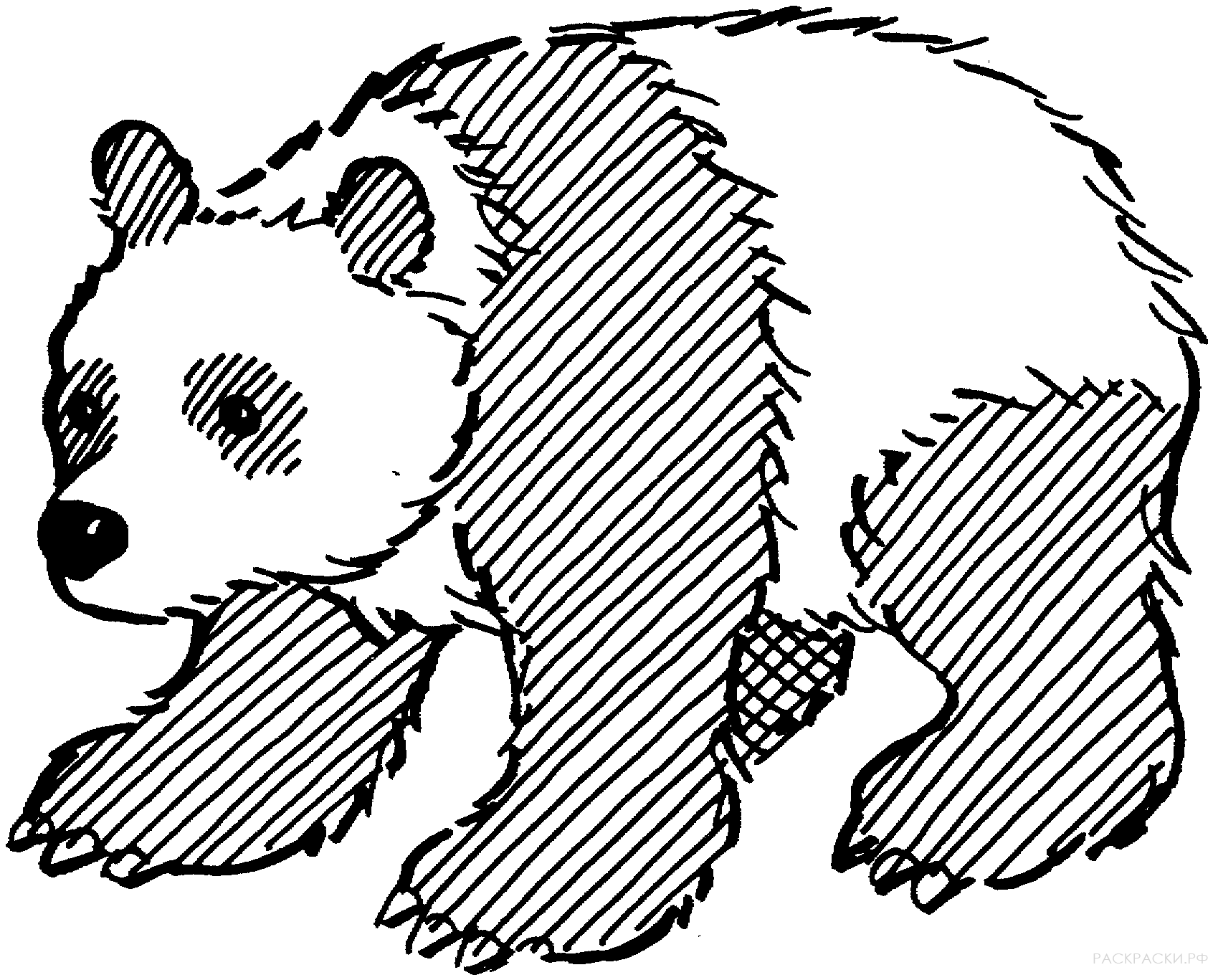 Раскраска Животные Большая панда 2