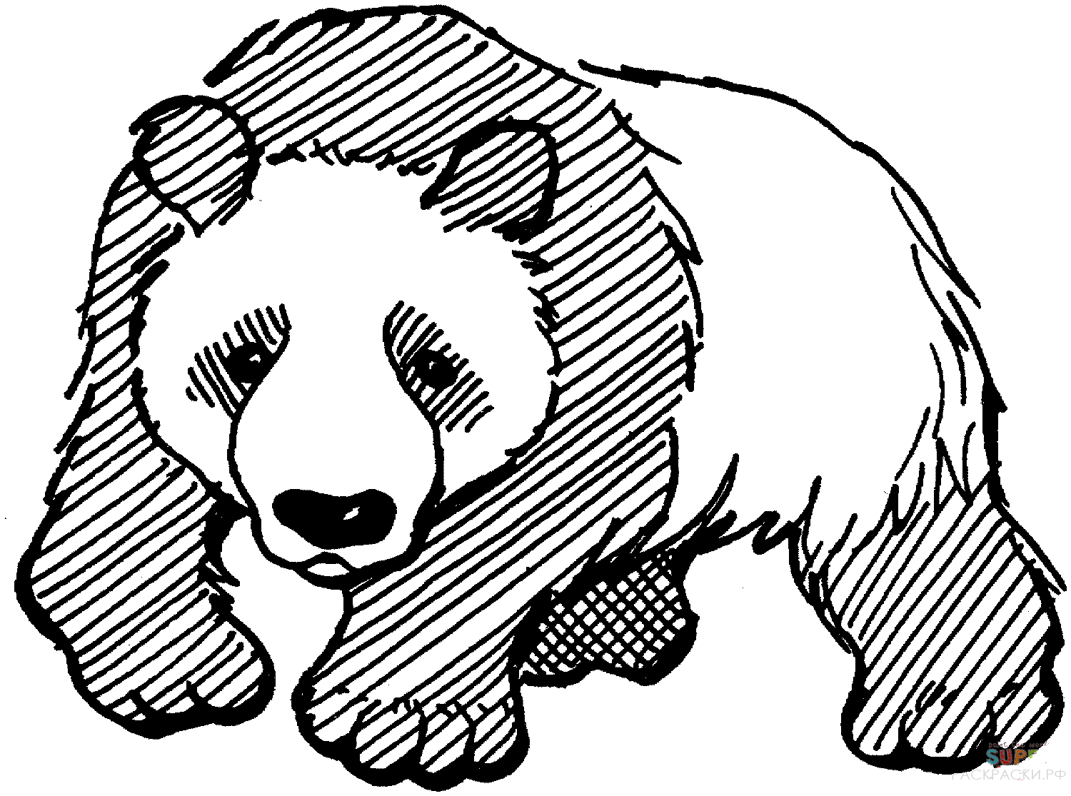 Раскраска Животные Панда 2