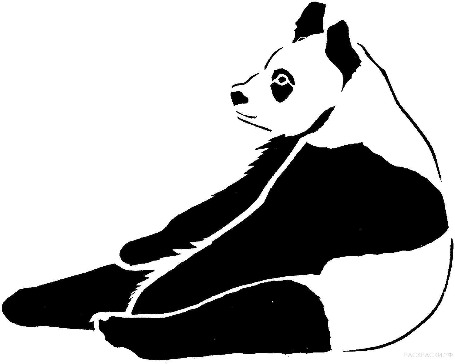 Раскраска Животные Панда 4