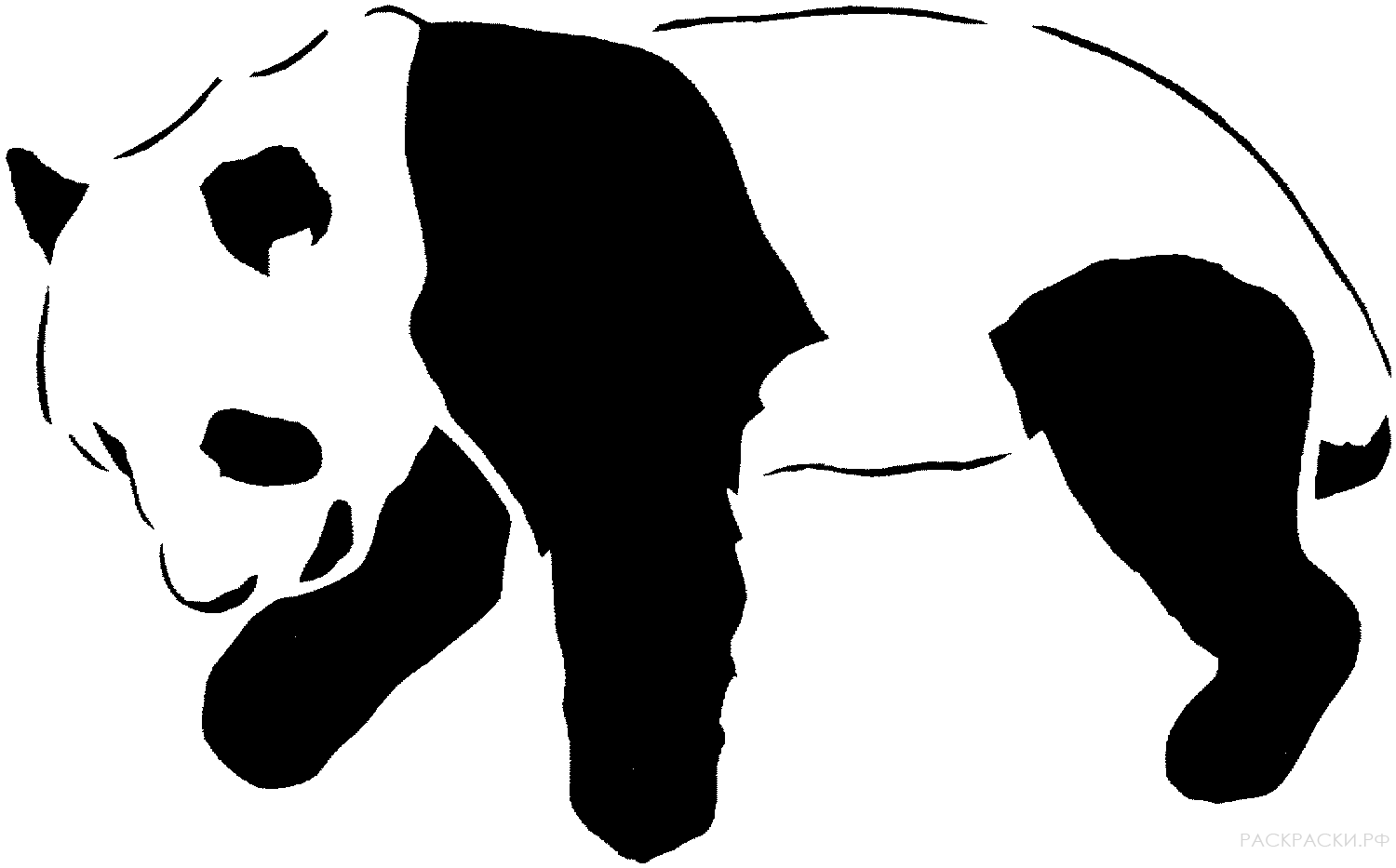 Раскраска Животные Панда 6