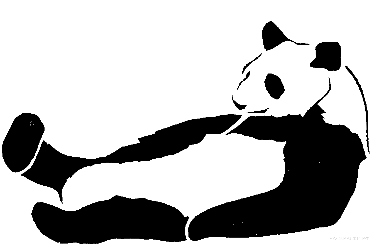 Раскраска Животные Панда 7