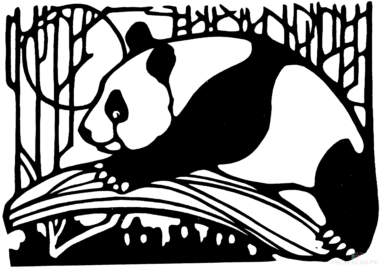 Раскраска Животные Панда в бамбуковом лесу