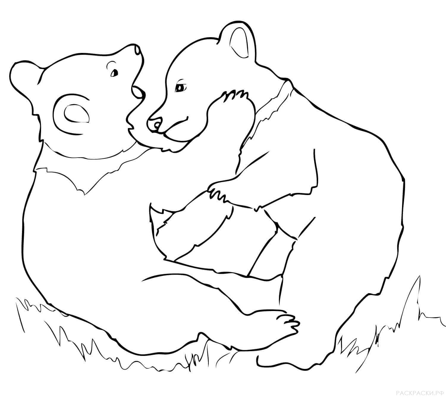 Медведи раскраска игра. Раскраска Медведица с медвежатами для детей. Раскраска медведь с медвежонком. Медведица с медвежонком рисунок раскраска. Два жадных медвежонка раскраска.