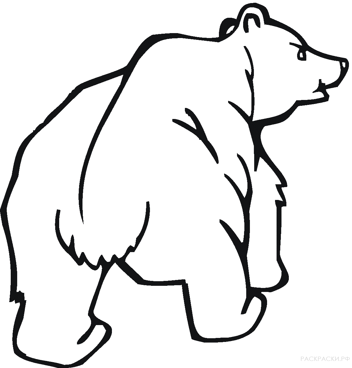 Трафарет медведя