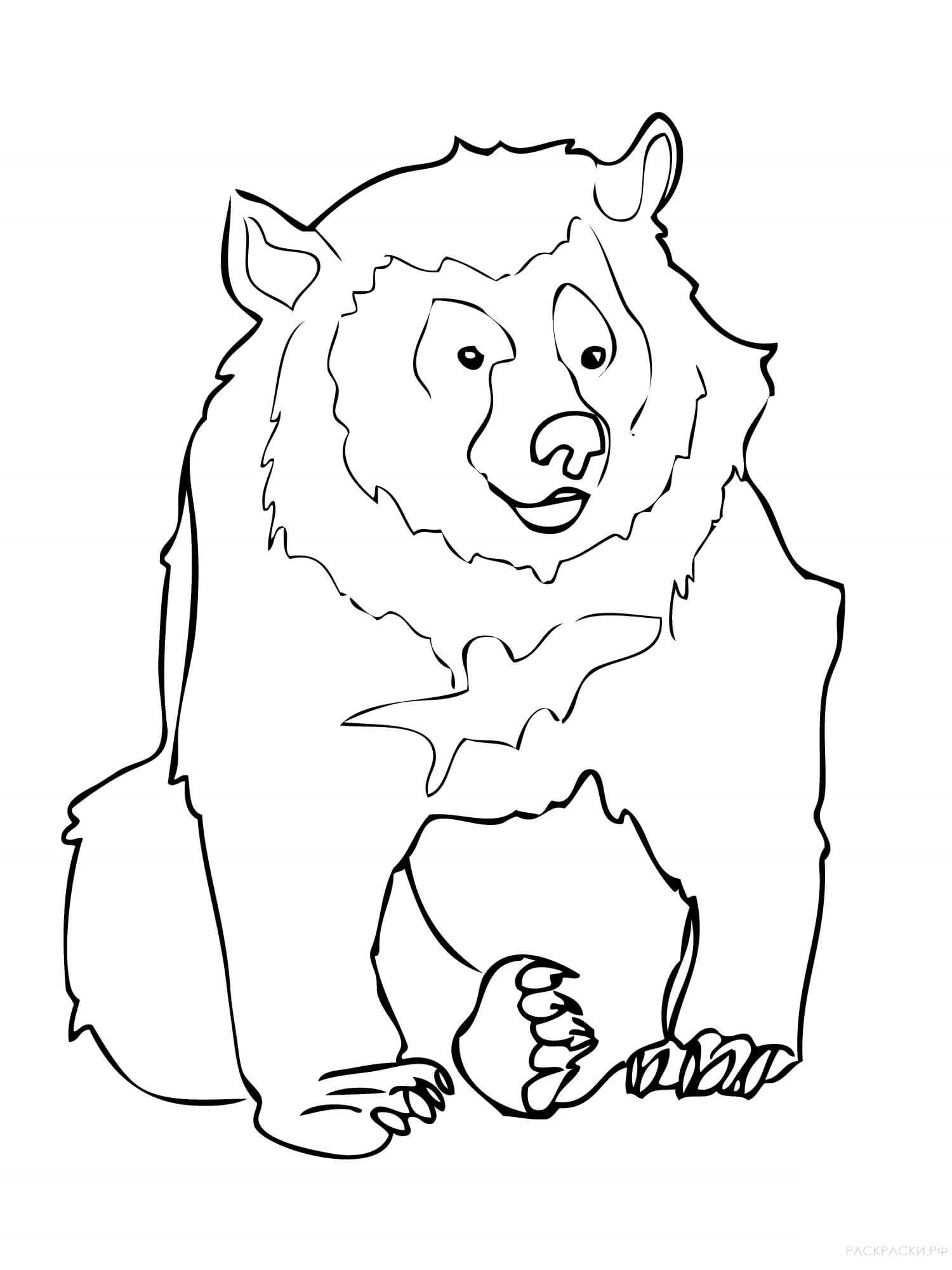 Раскраска Животные Гималайский медведь 3