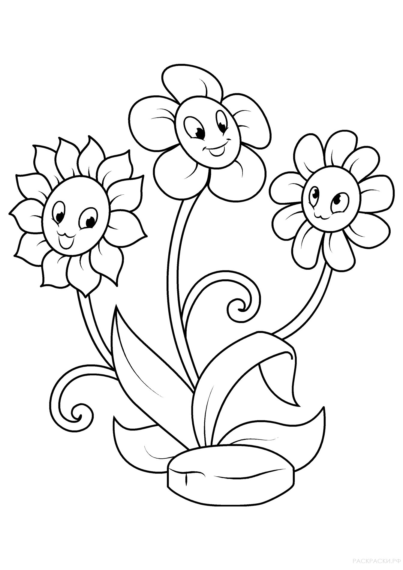 Раскраска Три цветочка ромашки