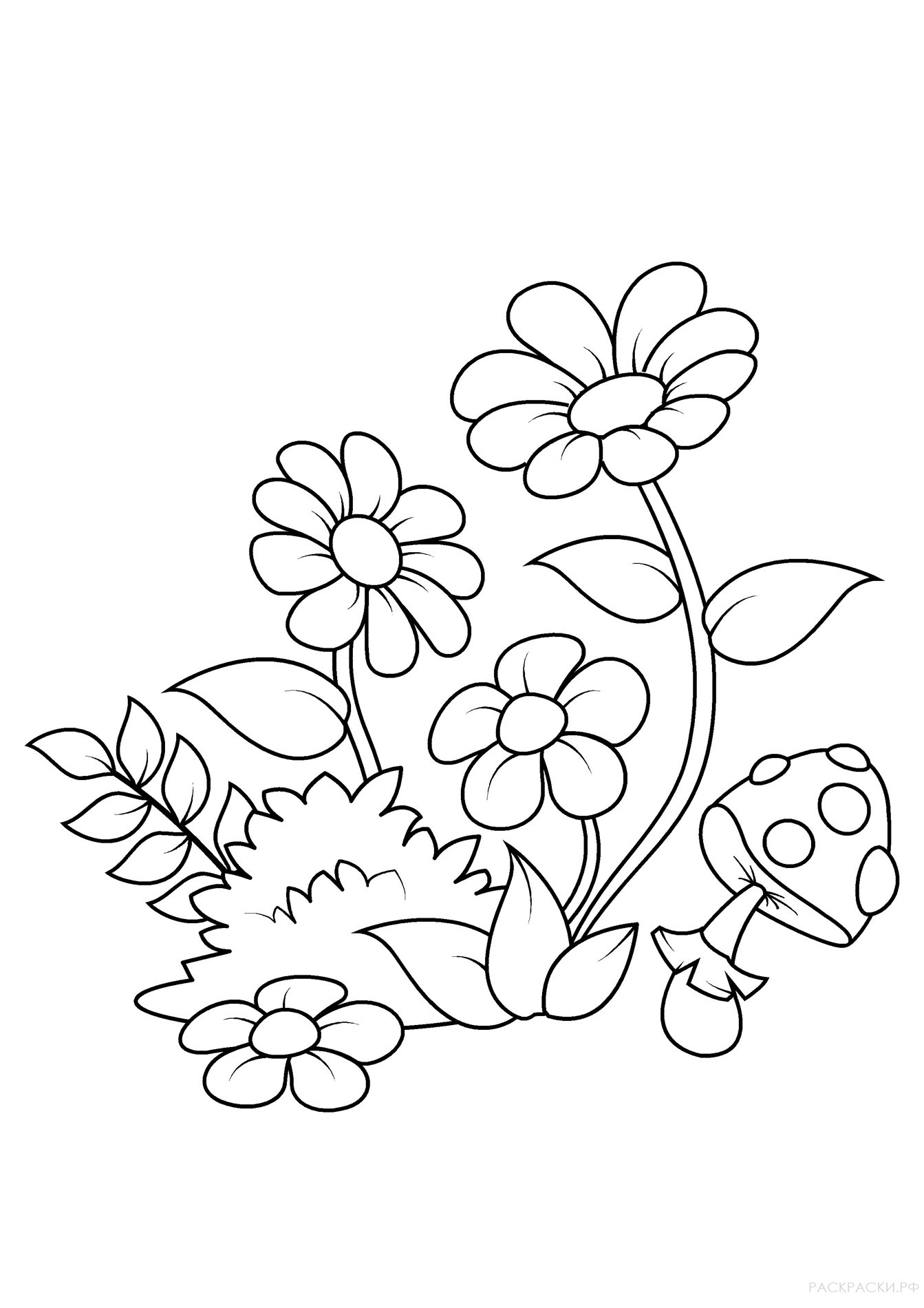 Раскраска цветы и мухомор 2
