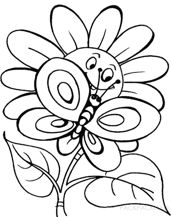 Раскраска Бабочка на цветке