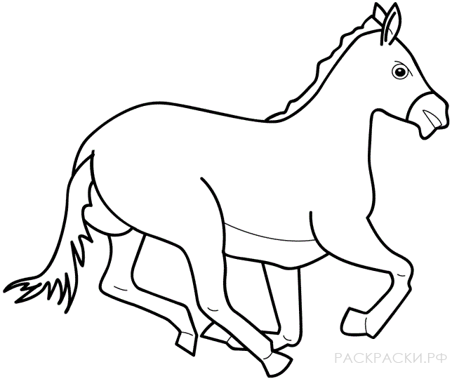 Раскраска бегущая галопом лошадь