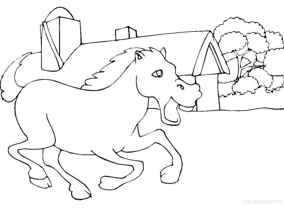 Конюшня рисунок. Раскраска. Лошади. Лошадка раскраска для детей. Раскраска конь. Лошадь раскраска для детей.