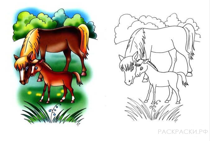 Раскраска Мама лошадь и жеребёнок