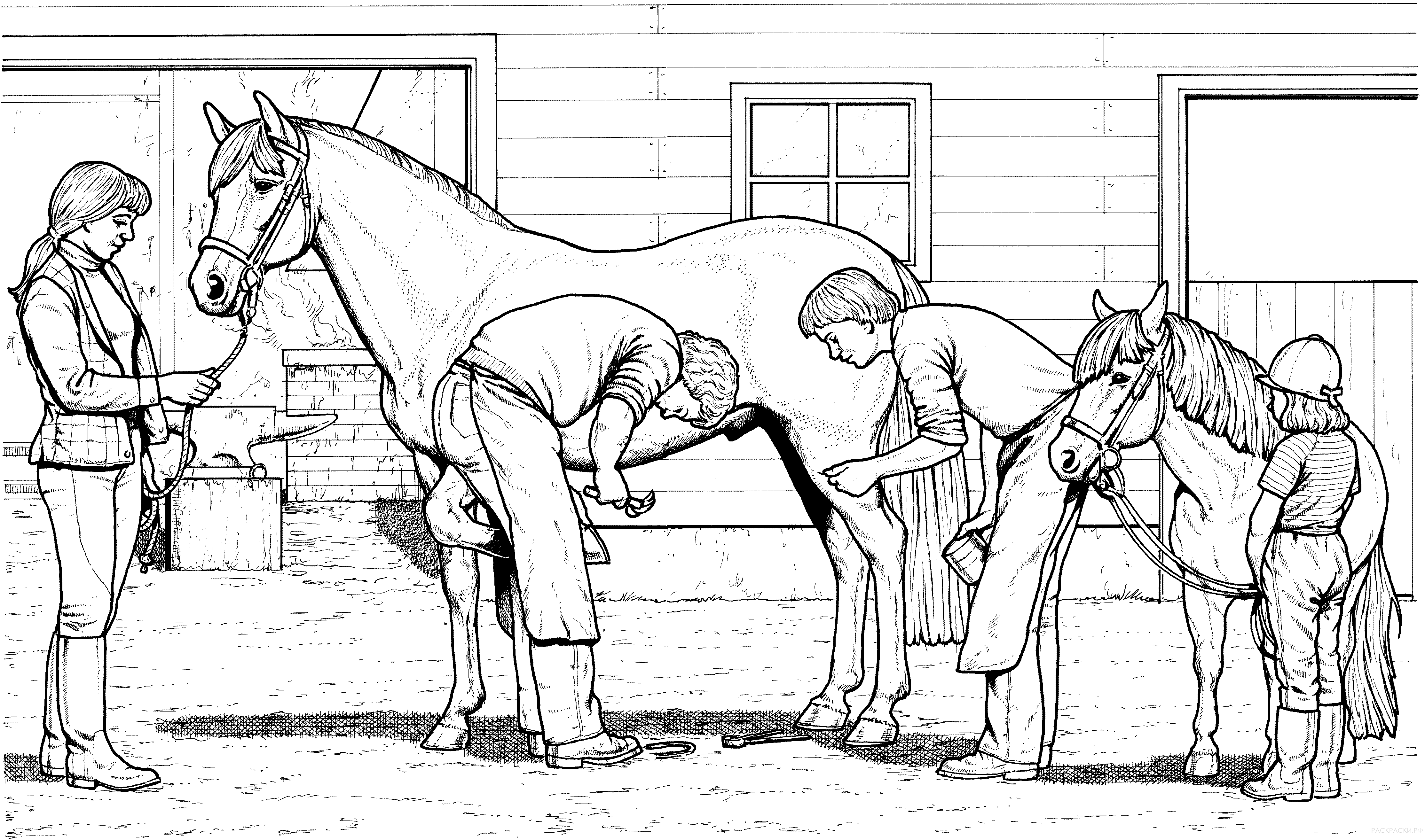 Раскраска Лошадь и пони